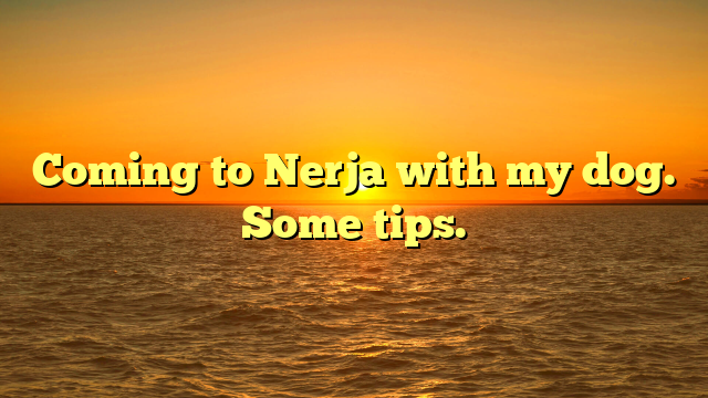Coming to Nerja with my dog. Some tips.