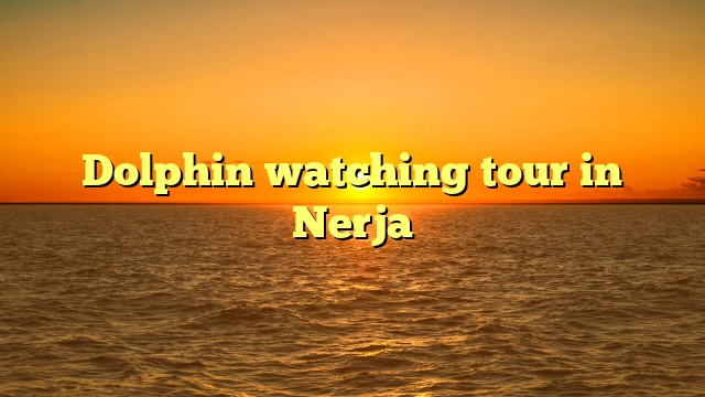 Dolphin watching tour in Nerja