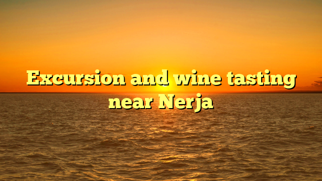 Excursion and wine tasting near Nerja