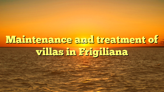 Maintenance and treatment of villas in Frigiliana