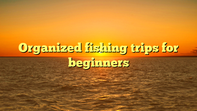 Organized fishing trips for beginners