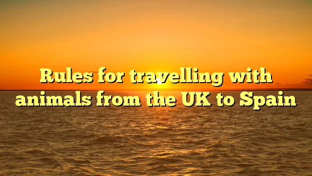Rules for travelling with animals from the UK to Spain
