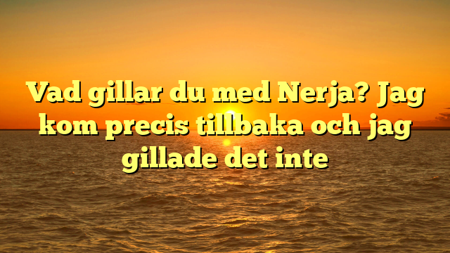 Vad gillar du med Nerja? Jag kom precis tillbaka och jag gillade det inte
