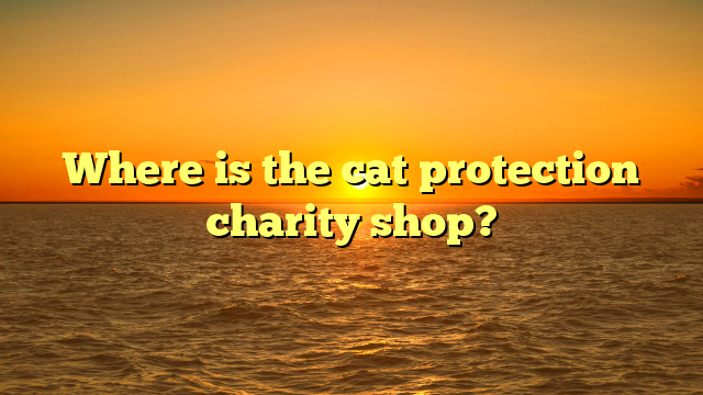 Where is the cat protection charity shop?